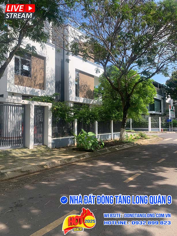Không gian bên hông nhà vườn