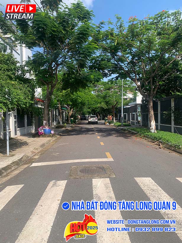 Không gian đường 16 Đông Tăng Long