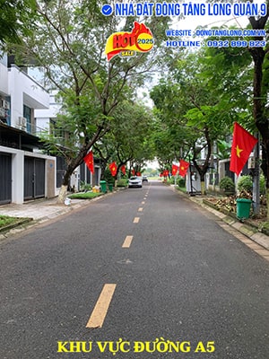 Khu vực đường căn nhà biệt thự 08A5 song lập Đông Tăng Long