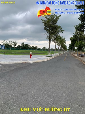 Khu vực đường D7 Đông Tăng Long