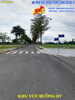 Khu vực đường D7
