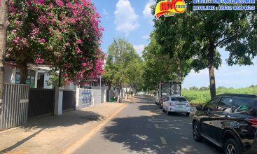 Khu vực đường N5 view chung cư Đông Tăng Long