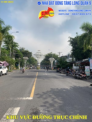 Khu vực đường trục chính Đông Tăng Long