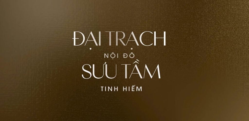 Slogan The Collectors Đông Tăng Long Quận 9