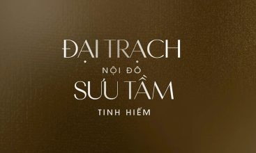 Slogan The Collectors Đông Tăng Long Quận 9